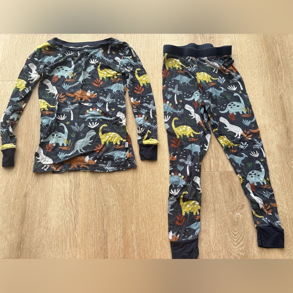 Little Sleepies Dinosaur Adventure Pajama Set - Multicolor